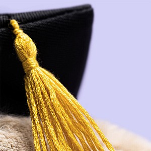 Bashful Bunny Graduation Outfit