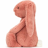 Bashful Sorrel Bunny