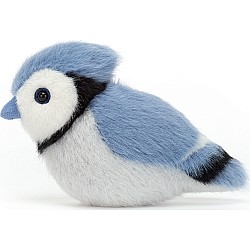 Birdling Blue Jay