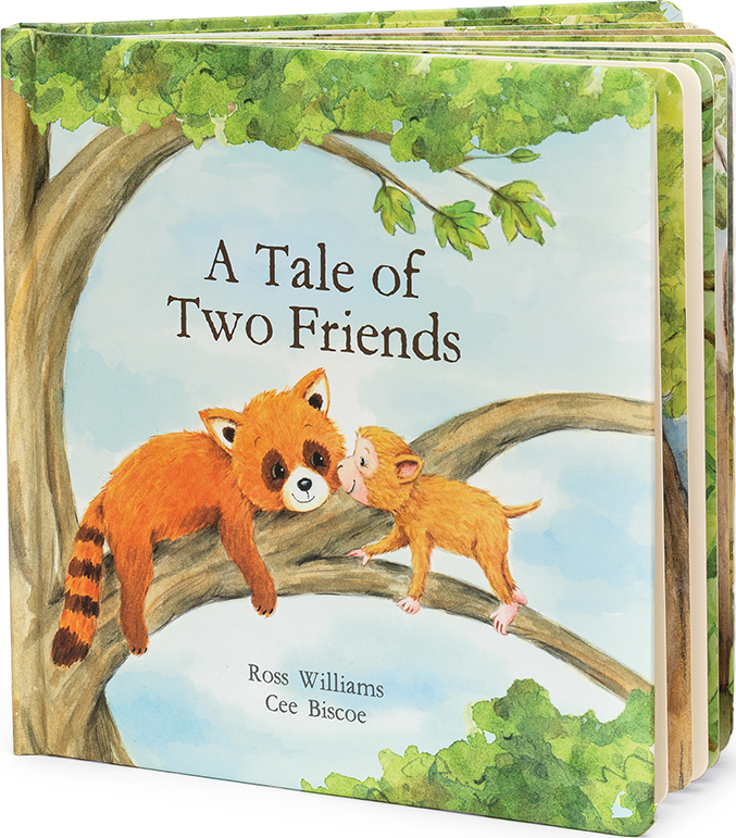 The Tale Of Two Friends Book