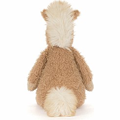 Canterneigh Pony