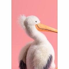 Keli Pelican