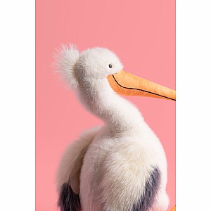 Keli Pelican