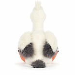 Keli Pelican