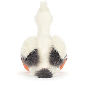 Keli Pelican