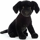 Pippa Black Labrador