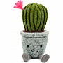 Silly Succulent Cactus