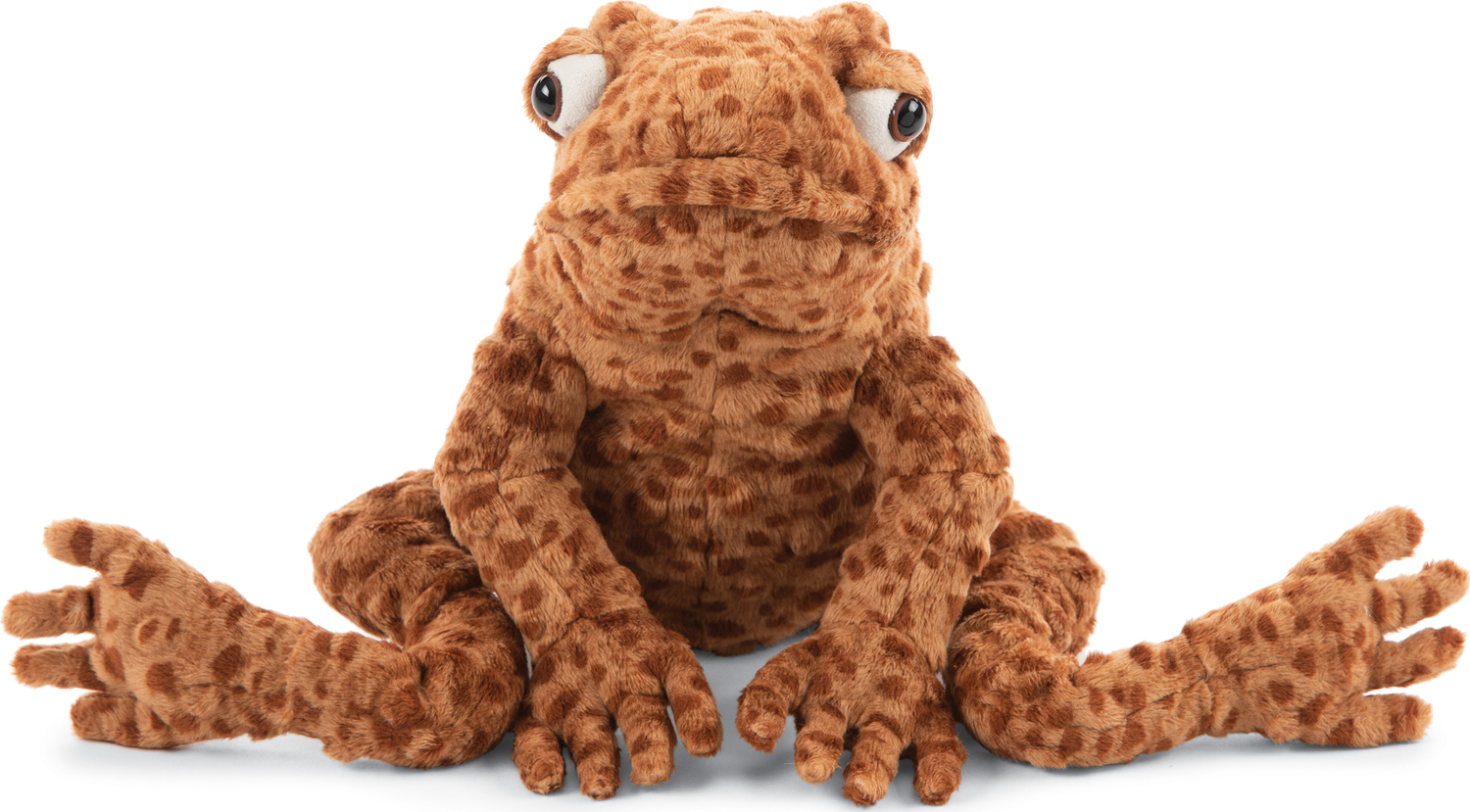 Toby Toad - JellyCat - Dancing Bear Toys