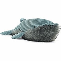 Wiley Whale