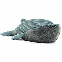 Wiley Whale