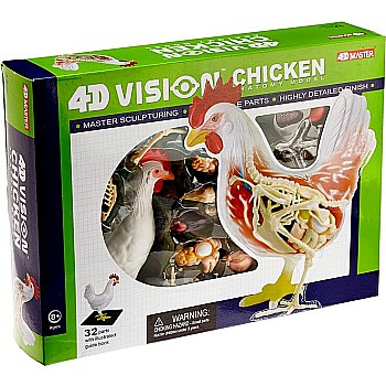 4D Vision Chicken Anatomy Model