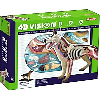 4D Vision Dog Anatomy Model