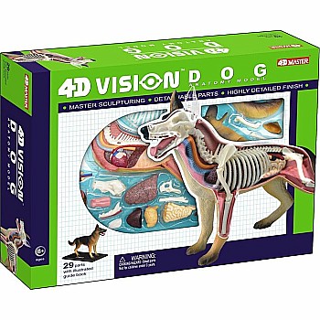 4D Vision Dog Anatomy Model