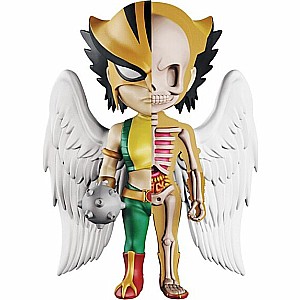 XXray DC Comics Hawkgirl