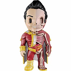 XXray DC Comics Shazam
