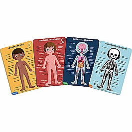 Educational Puzzle-human Body-50,75,100 Pcs