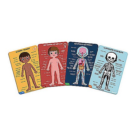 Educational Puzzle-human Body-50,75,100 Pcs