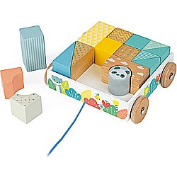 Pure Pull-Along Blocks Cart