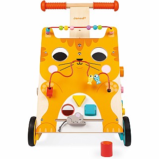 Multi-activities Cat Baby Walker