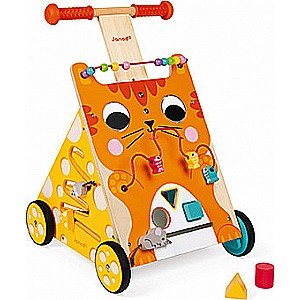 Multi-Activities Cat Baby Walker