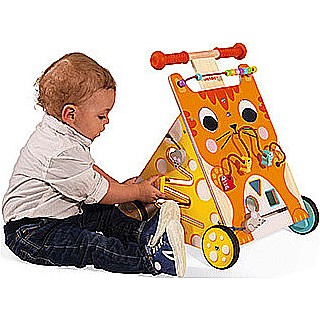 Multi-activities Cat Baby Walker