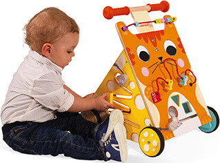 Multi-Activities Cat Baby Walker