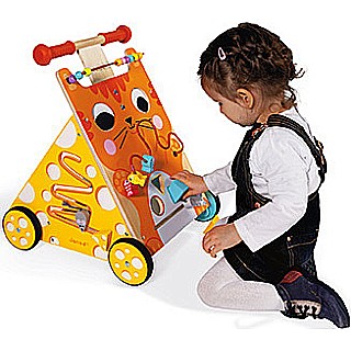 Multi-activities Cat Baby Walker