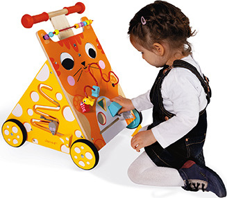 Multi-Activities Cat Baby Walker