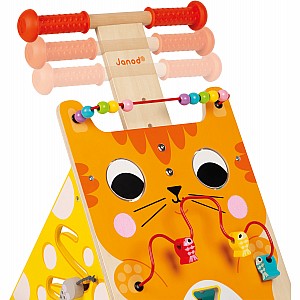 Multi-Activities Cat Baby Walker