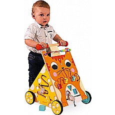 Multi-Activities Cat Baby Walker