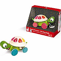 Zigolos Pull Along Turtle