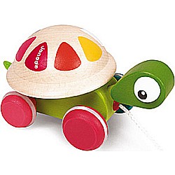 Zigolos Pull Along Turtle