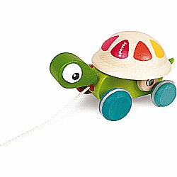 Zigolos Pull Along Turtle