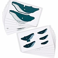 3d Whale Puzzle