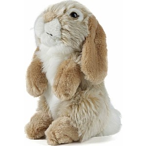Brown Sitting Lop Eared Rabbit