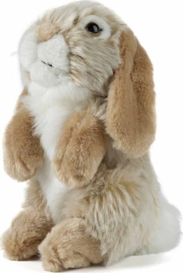 Brown Sitting Lop Eared Rabbit