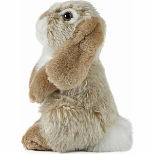 Brown Sitting Lop Eared Rabbit