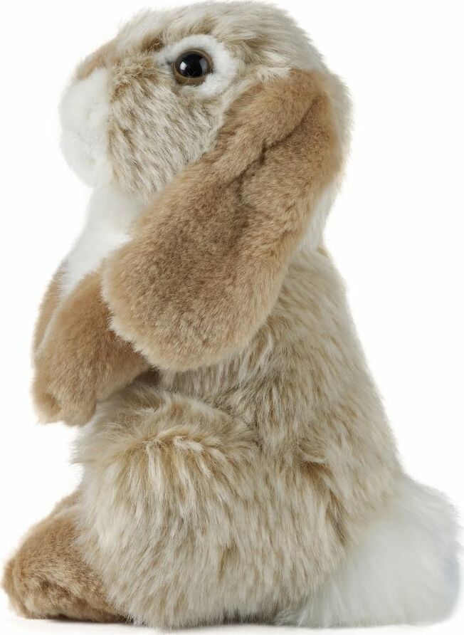 Brown Sitting Lop Eared Rabbit