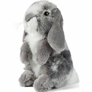 Grey Sitting Lop Eared Rabbit