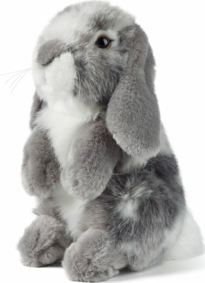 Grey Sitting Lop Eared Rabbit