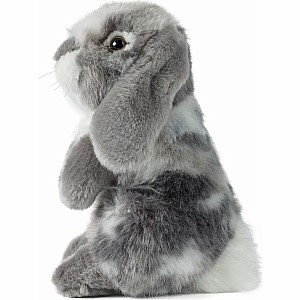 Grey Sitting Lop Eared Rabbit