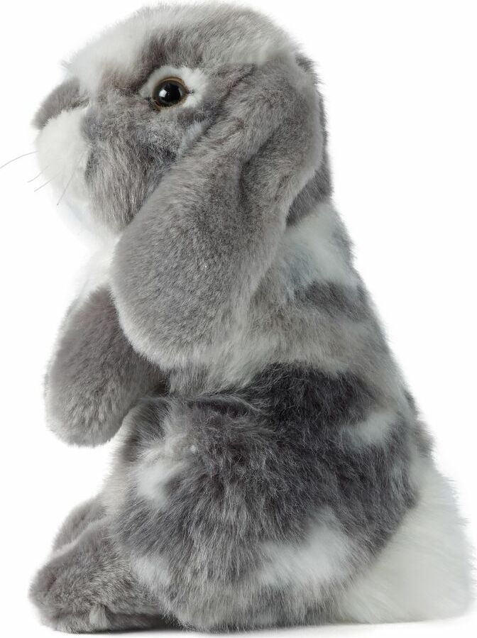 Grey Sitting Lop Eared Rabbit