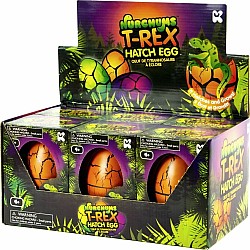 NURCHUMS Large T-Rex Hatching Eggs