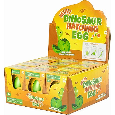 Mini Dinosaur Hatching Eggs