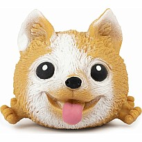 Squidgy Pooch