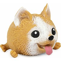 Squidgy Pooch