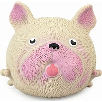 Squidgy Pooch