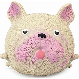 Squidgy Pooch