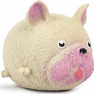 Squidgy Pooch