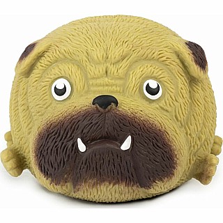 Squidgy Pooch